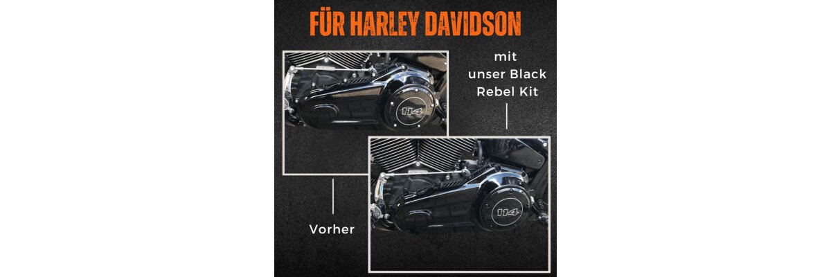 Schwarze Edelstahlschrauben für Harley Davidson - Schwarze Edelstahlschrauben für Harley Davidson