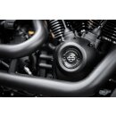 Motorschrauben Komplettsatz | HD Softail ab 2018 | Edelstahl schwarz