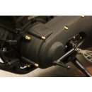 Motorschrauben Komplettsatz | HD Softail ab 2018 | Messing Hutmutter "Bullet"