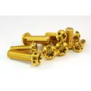 Titan Linsenkopf gefräst TX Schwarz M5x25