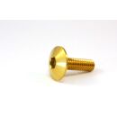 Titan Linsenkopf Gold M8x35
