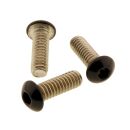 Seitenabdeckung Schrauben-Kit | Harley Davidson Softail...