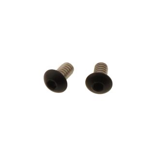 Luftfilter Schrauben-Kit | Harley Davidson (K3)