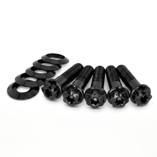 Schrauben-Kit TITAN Pulley-/Riemenrad | Harley Softail+Dyna 93-99 / Sportster 91-20