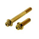 Schrauben-Kit | Bremssattel vorne | Harley Davidson | Titan (K2) | gold