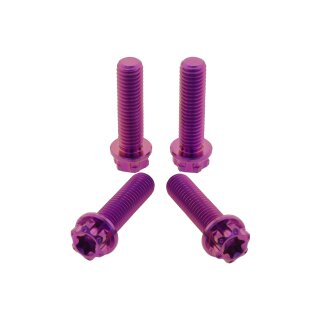 Schrauben-Kit | Achsklemmung / Gabelfäuste | 2Drive | Titan (K5) | violett