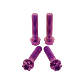 Schrauben-Kit | Achsklemmung / Gabelfäuste | 2Drive | Titan (K6) | violett