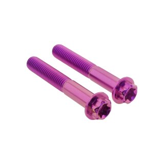 Schrauben-Kit | Bremssattel vorne | 2Drive | Titan (K5) | violett