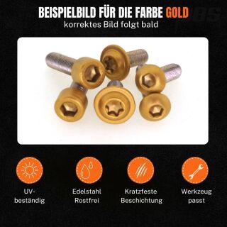 Lenkeramaturen Klemmschrauben | Harley Davidson Softail ab 2018 | Gold