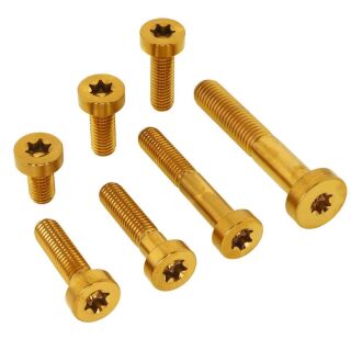 M10x60 |Titanschraube niedriger Kopf TX | KTM OEM: 0035100609S | gold