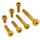 M10x60 |Titanschraube niedriger Kopf TX | KTM OEM: 0035100609S | gold