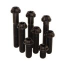 M8x45 |Titanschraube gefräster Kopf spitz | TX |...