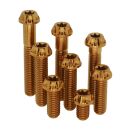 M8x25 |Titanschraube gefräster Kopf spitz | TX | Gold