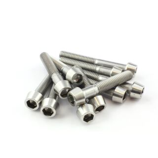 Zylinderkopf konisch Edelstahl M6 M6x80