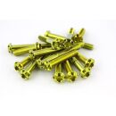 Titan Linsenkopf gefräst TX M6 Blau M6x45