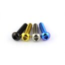 Titan Linsenkopf ISO7380 M5 M6 Blau M5x25