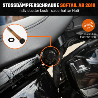 Stoßdämpferschraube | Harley Davidson Softail ab 2018 | Schwarz Glanz
