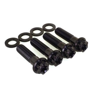 Schrauben-Kit Fenderstruts vorne (4) | Harley Davidson Softail ab 2007 (K1) | Titan 2Drive