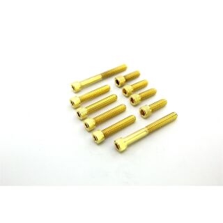 5x 1/4-20 Zoll Zylinderkopf 32mm Edelstahl 24K vergoldet