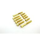 5x 1/4-20 Zoll Zylinderkopf 83mm Edelstahl 24K vergoldet