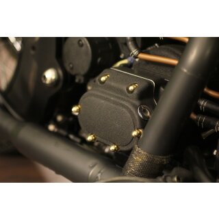 Schraubensatz Shovelhead 70-76Edelstahl schwarz glänzend HarleyMotor Kit 