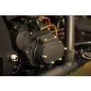 Motorschrauben Komplettsatz | HD Softail 89-98 / Dyna 91-98 | Messing Hutmutter "Bullet"