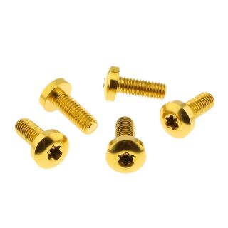 Schrauben-Kit Bremsscheibe hinten | Harley Davidson | Titan | schwarz (K2)