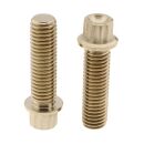 Schrauben-Kit | Bremssattel vorne | Harley Davidson | Titan (K1) | gold