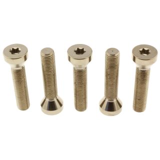 Radschrauben-Kit für BMW M10x1,25x53 | Titan silber/natur