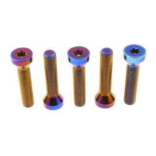 Radschrauben-Kit für BMW M10x1,25x53 | Titan blau/violett