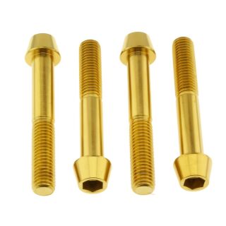 Bremssattelschrauben-Kit für BMW | Titan gold