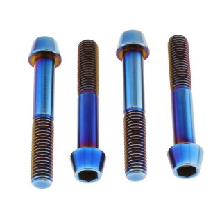 Bremssattelschrauben-Kit für BMW | Titan blau/violett